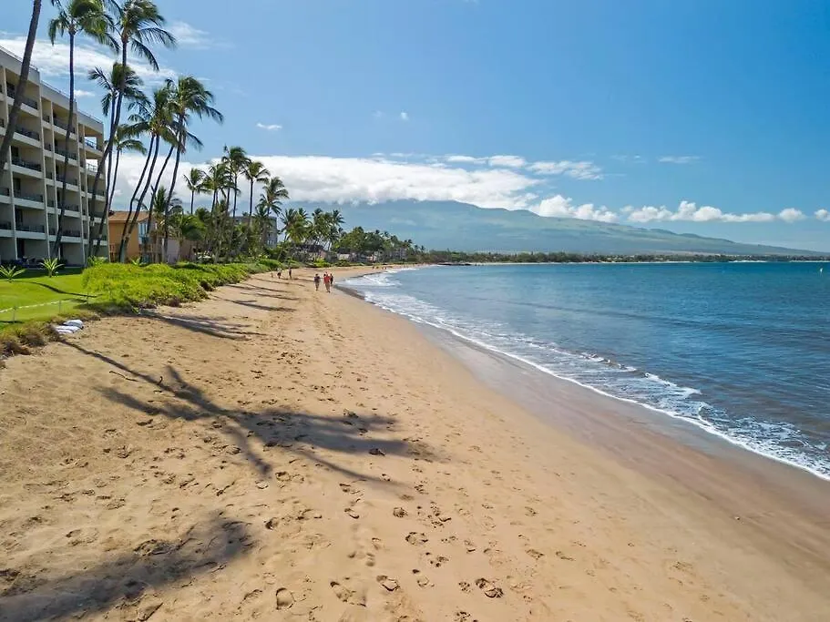 Sugar Beach Resort 518- Updated Oceanfront Gem At Sugar Beach Resort Kihei